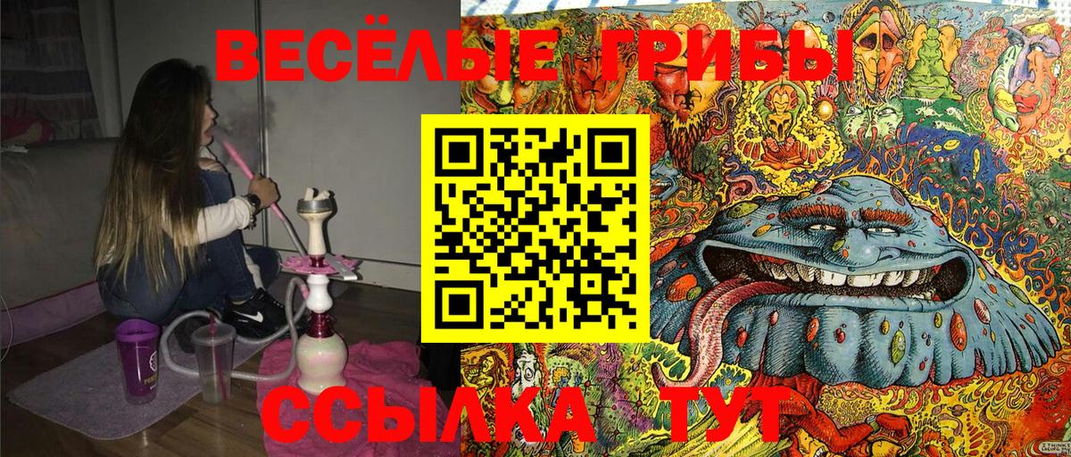 Галлюциногенные грибы Cubensis Вятские Поляны