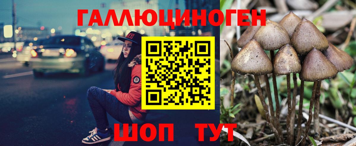 Псилоцибиновые грибы Cubensis  Галлюциногенные грибы мухоморы  Вход с VPN  Вятские Поляны 